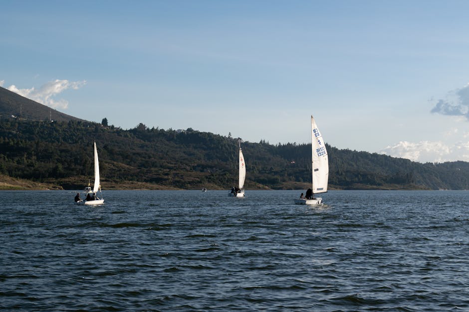 Pequeña embarcación de vela en lago tranquilo